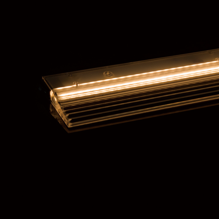 EBL/T-10W